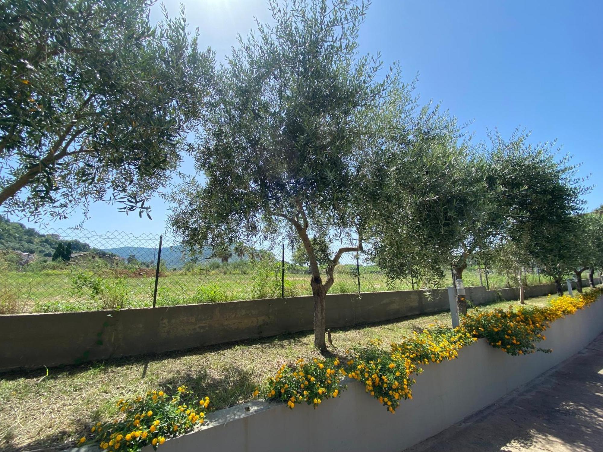 Miro' Agropoli Bed and Breakfast Exteriör bild