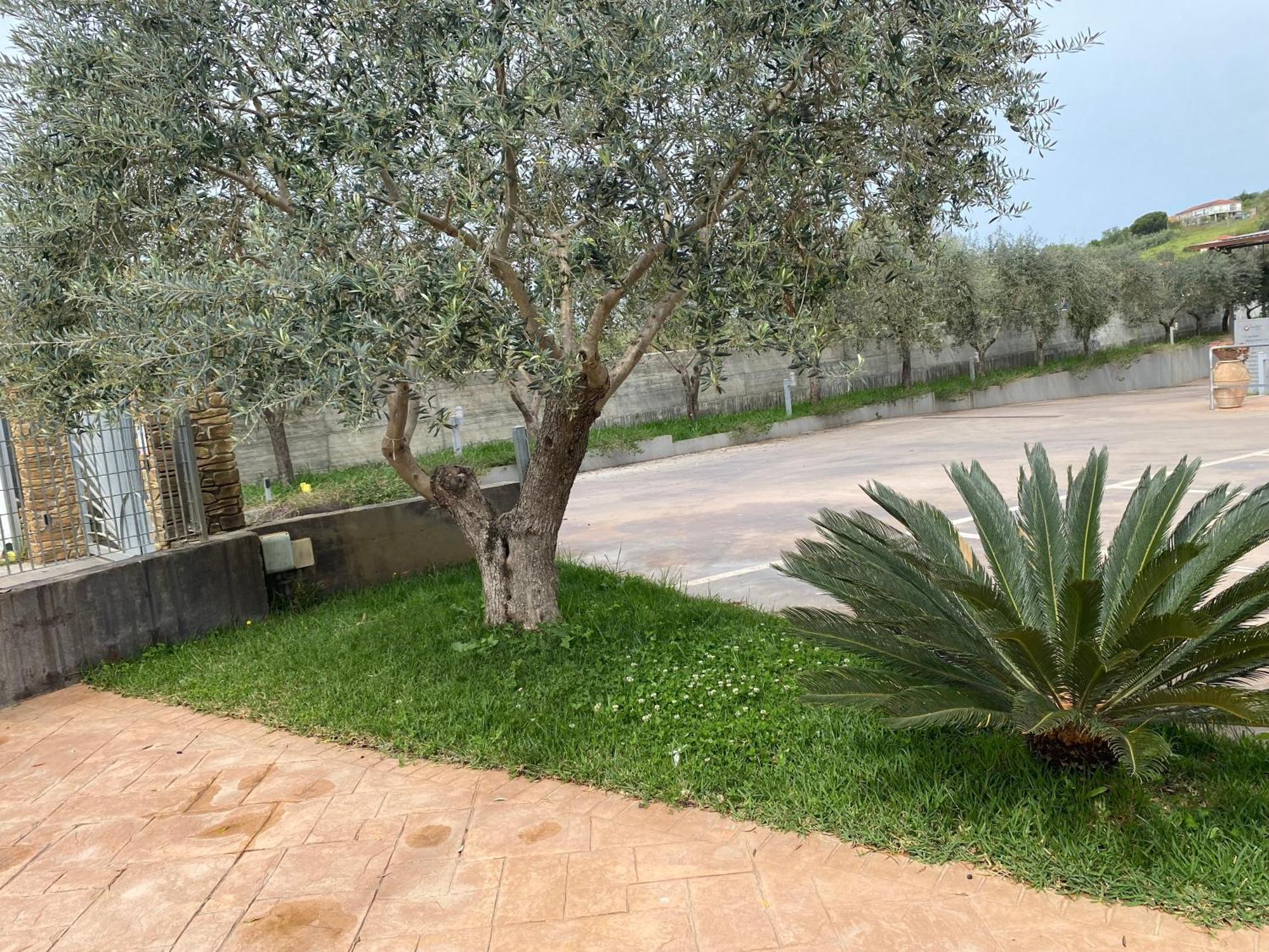 Miro' Agropoli Bed and Breakfast Exteriör bild
