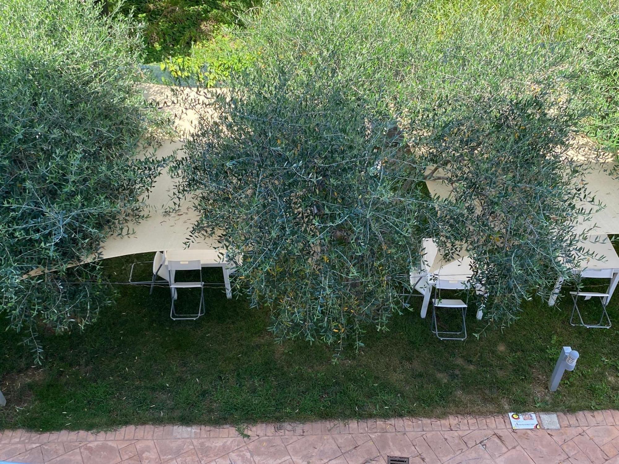 Miro' Agropoli Bed and Breakfast Exteriör bild