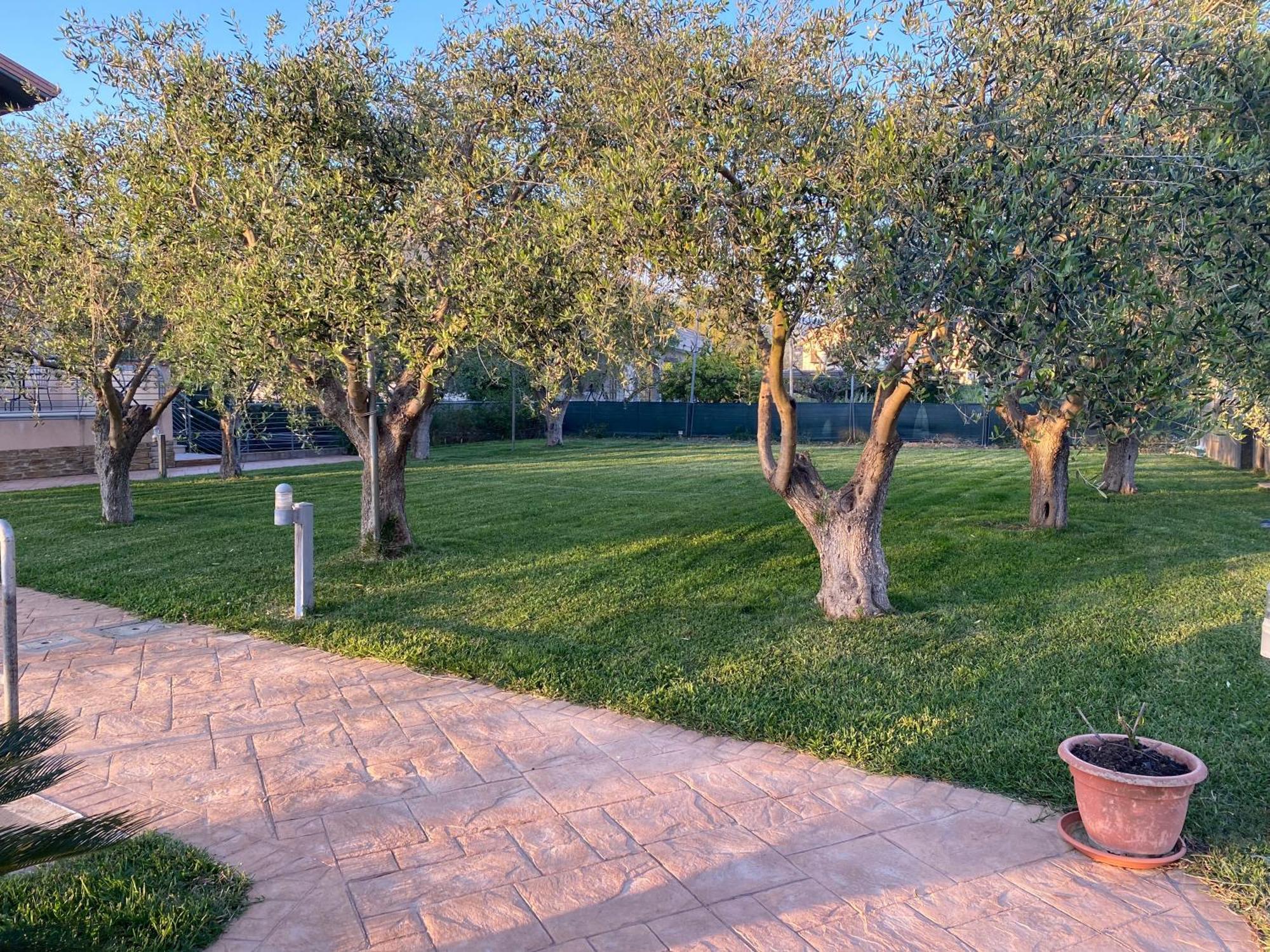 Miro' Agropoli Bed and Breakfast Exteriör bild